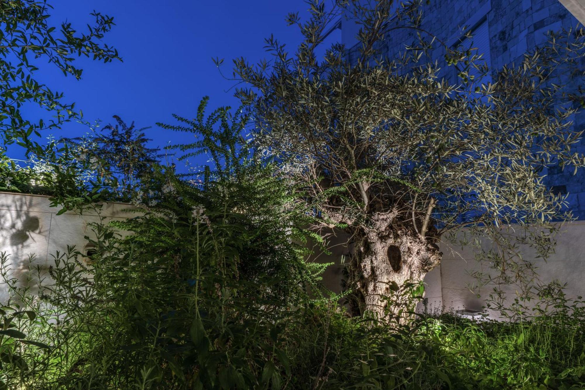 Olea Boutique Suites Polignano Polignano a Mare Extérieur photo